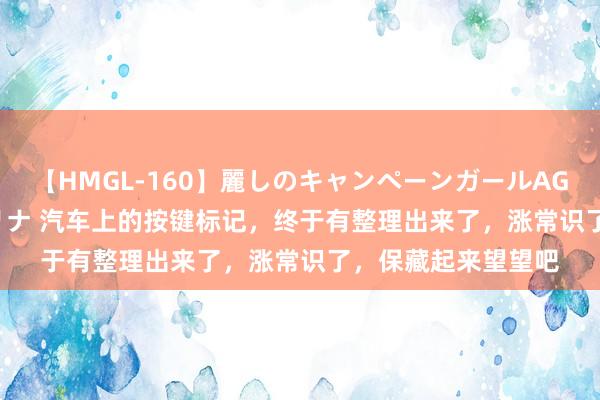 【HMGL-160】麗しのキャンペーンガールAGAIN 12 由奈とエリナ 汽车上的按键标记，终于有整理出来了，涨常识了，保藏起来望望吧