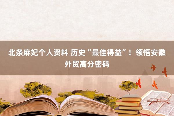 北条麻妃个人资料 历史“最佳得益”！领悟安徽外贸高分密码