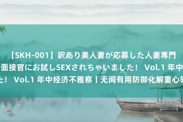 【SKH-001】訳あり美人妻が応募した人妻専門ハメ撮り秘密倶楽部で面接官にお試しSEXされちゃいました！ Vol.1 年中经济不雅察丨无间有用防御化解重心领域风险