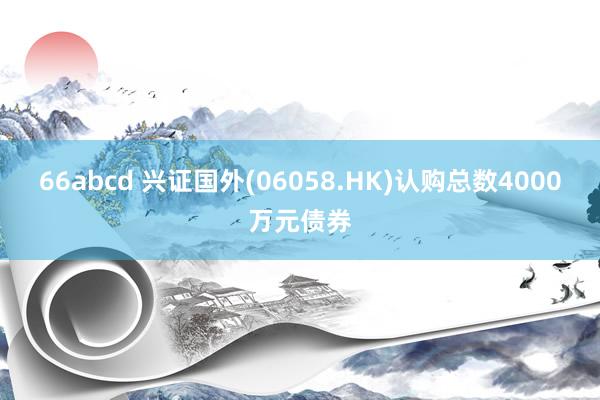 66abcd 兴证国外(06058.HK)认购总数4000万元债券