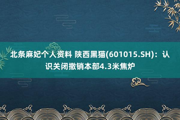 北条麻妃个人资料 陕西黑猫(601015.SH)：认识关闭撤销本部4.3米焦炉