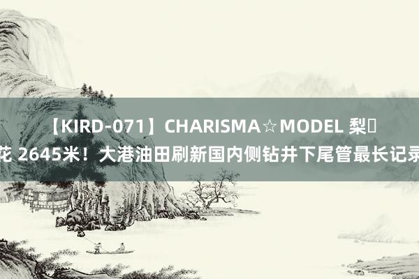 【KIRD-071】CHARISMA☆MODEL 梨々花 2645米！大港油田刷新国内侧钻井下尾管最长记录