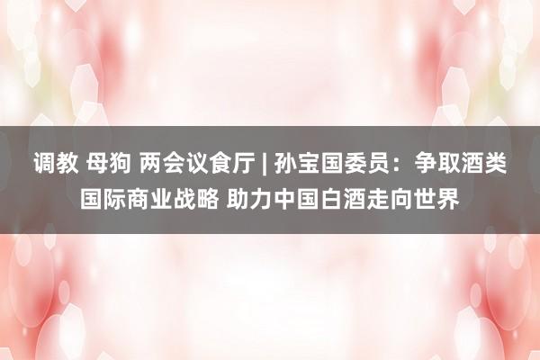 调教 母狗 两会议食厅 | 孙宝国委员：争取酒类国际商业战略 助力中国白酒走向世界