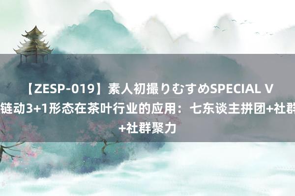 【ZESP-019】素人初撮りむすめSPECIAL Vol.3 链动3+1形态在茶叶行业的应用：七东谈主拼团+社群聚力