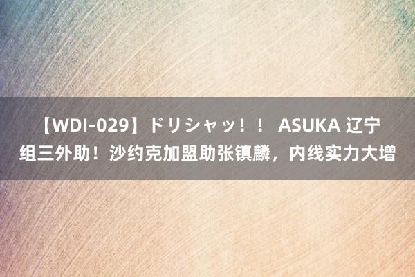 【WDI-029】ドリシャッ！！ ASUKA 辽宁组三外助！沙约克加盟助张镇麟，内线实力大增