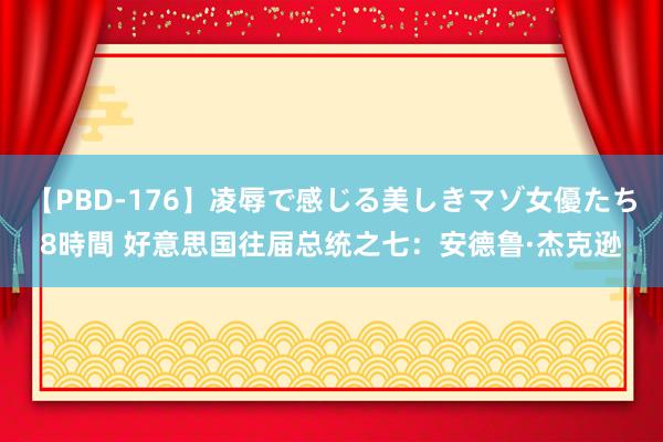 【PBD-176】凌辱で感じる美しきマゾ女優たち8時間 好意思国往届总统之七：安德鲁·杰克逊