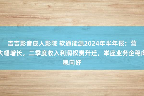 吉吉影音成人影院 软通能源2024年半年报：营收大幅增长，二季度收入利润权贵升迁，举座业务企稳向好