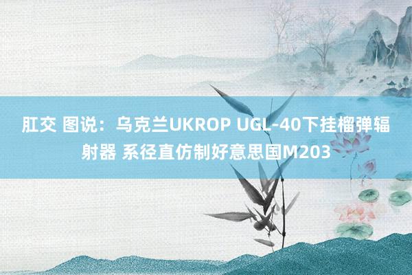 肛交 图说：乌克兰UKROP UGL-40下挂榴弹辐射器 系径直仿制好意思国M203