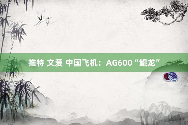 推特 文爱 中国飞机：AG600“鲲龙”