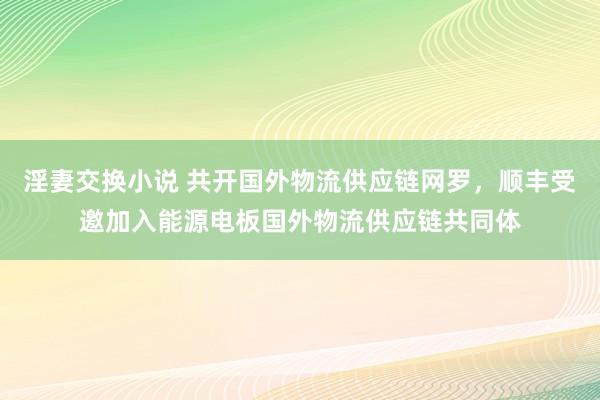 淫妻交换小说 共开国外物流供应链网罗，顺丰受邀加入能源电板国外物流供应链共同体