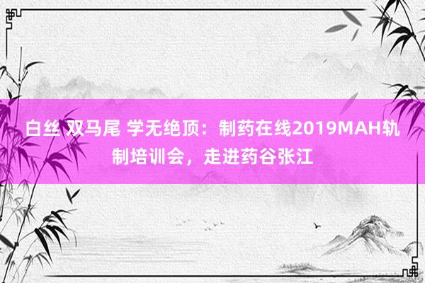 白丝 双马尾 学无绝顶：制药在线2019MAH轨制培训会，走进药谷张江