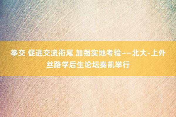 拳交 促进交流衔尾 加强实地考验——北大-上外丝路学后生论坛奏凯举行